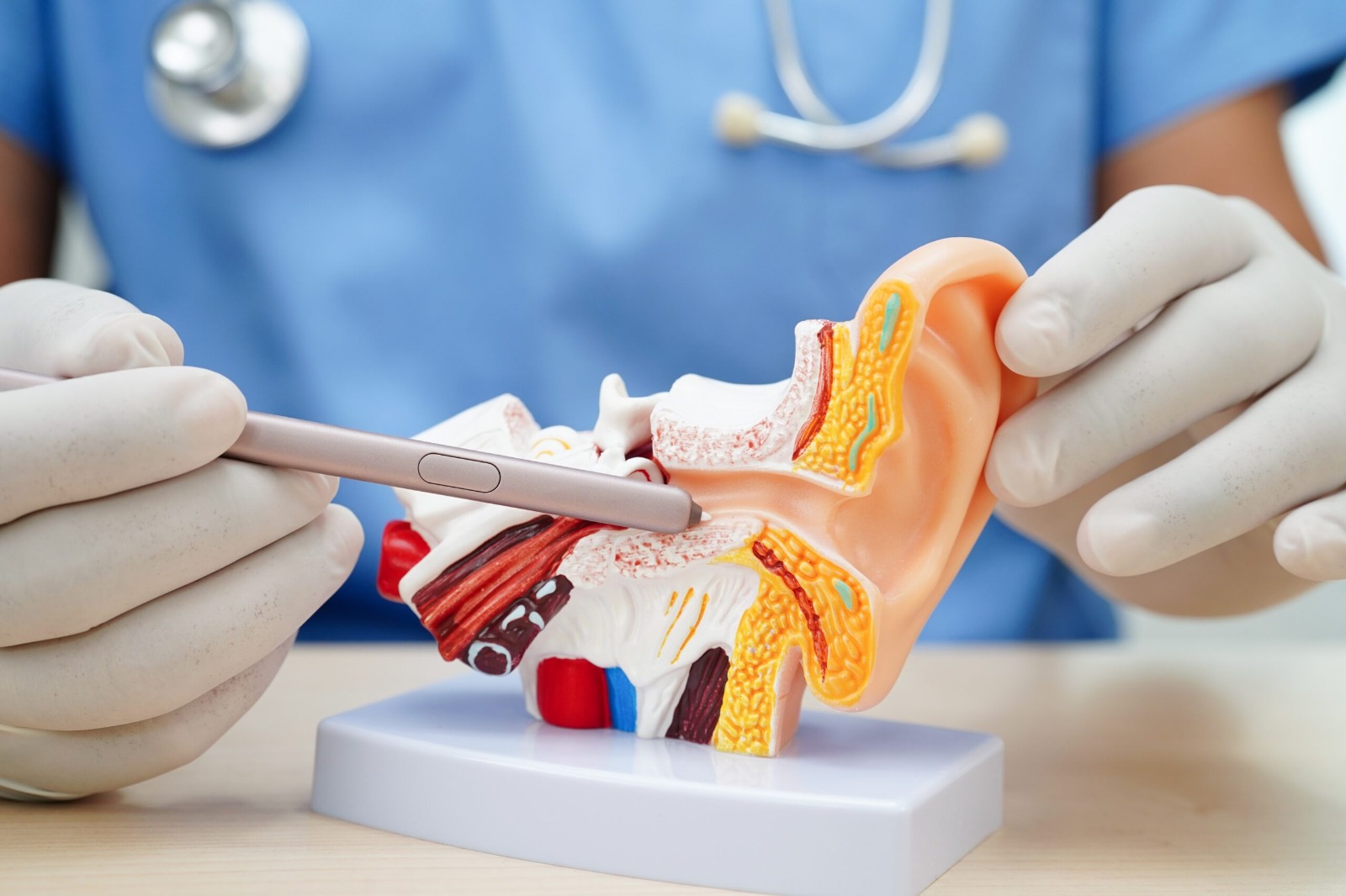 MOH Mock Test for Specialist Otolaryngology