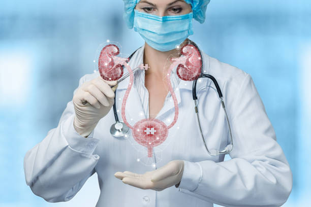 DOH Mock Tests for Urology Specialist